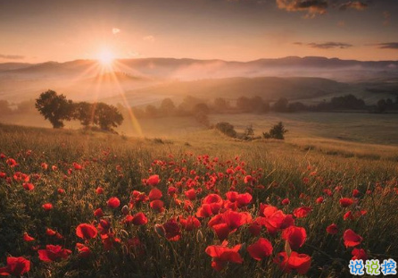 很扎心但很有道理的勵(lì)志說說帶圖片 激勵(lì)人心的很現(xiàn)實(shí)的一句話說說3