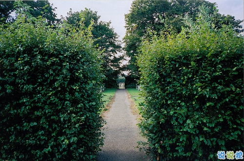 抖音最火經(jīng)典說說致自己 最新個人說說經(jīng)典勵志帶圖片8