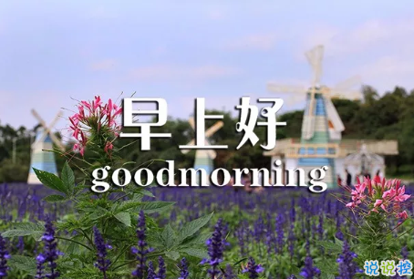 2018早上好正能量的句子和圖片 早上好勵(lì)志的句子配圖激勵(lì)人心的5