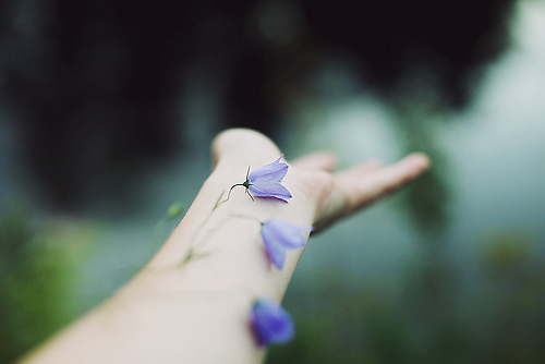 很勵志的正能量說說帶圖片 我有孤勇一腔起于星光止于他鄉(xiāng)10