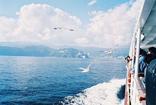 最新知乎上很火的優(yōu)美文藝的唯美說(shuō)說(shuō)帶圖片4