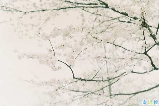 2018正能量的奮斗經(jīng)典說說配圖 簡單霸氣的勵(lì)志說說201814