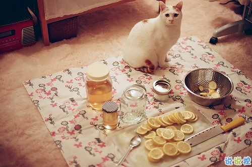 簡簡單單很干凈的愛情說說帶圖片 該留下來的人總會一直在的8