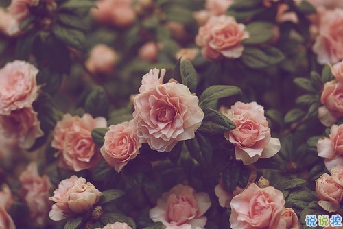 愛錯(cuò)了人換來一身傷痕的說說大全 親身經(jīng)歷愛情得到的經(jīng)典傷感說說7