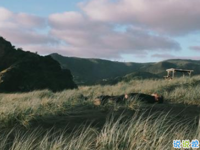 秀恩愛的優(yōu)雅句子簡單好聽配圖 我的心為你跳動5