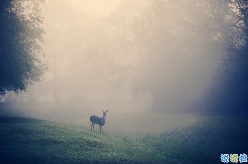 不敢再愛(ài)了的傷感說(shuō)說(shuō)帶圖片 愛(ài)情吃了虧的經(jīng)典傷感說(shuō)說(shuō)配圖14