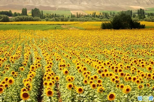 女生治愈系說說簡短好聽帶圖片 可以幫你療傷的愛情說說10