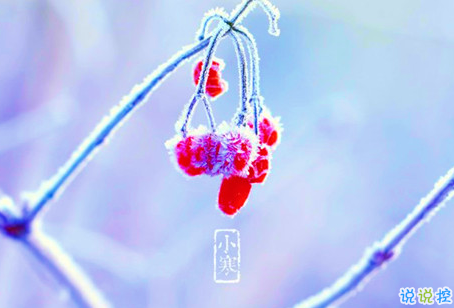 2019小寒節(jié)氣的說說大全唯美有詩意 小寒節(jié)氣發(fā)朋友圈的說說7