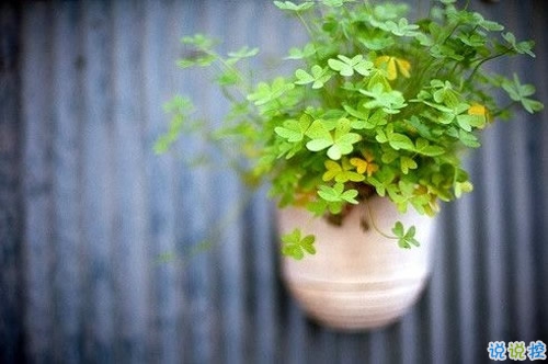 值得收藏的人生大道理勵(lì)志說說帶圖片 好聽的激勵(lì)人心的說說配圖11