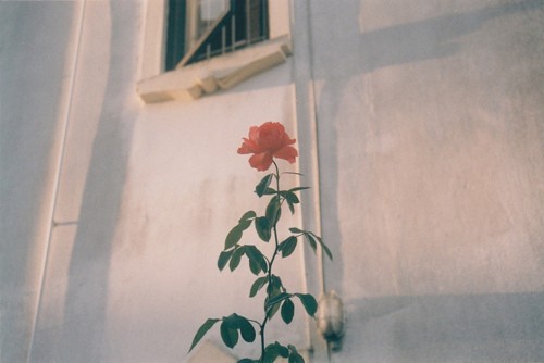 很有詩意的英文哲理句子 一句話但是很有意思的內(nèi)涵句子 2