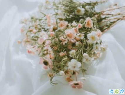 表白小情話(huà)最用心也是最走心的 成功率99%的告白情話(huà)合集1