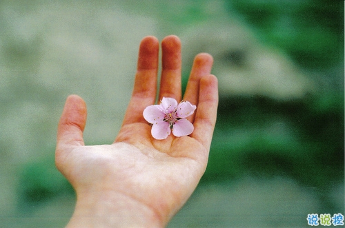 一個(gè)人感到孤獨(dú)絕望的說說帶圖片 黑夜難以入眠的悲情說說9