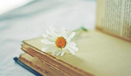 溫暖正能量的勵志說說帶圖片 祝你萬事勝意一切都比你想象的還要好一點(diǎn)13