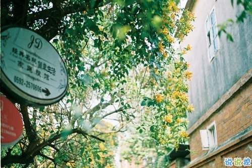 溫暖幸福的愛(ài)情說(shuō)說(shuō)帶圖片 給另一半的細(xì)水長(zhǎng)流的情話(huà)句子8