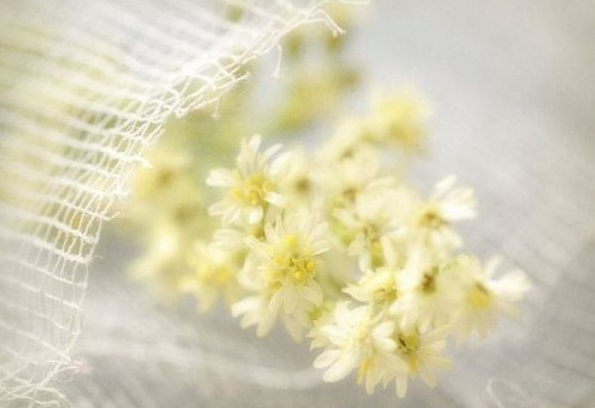 電影電視劇中會出現(xiàn)的唯美經(jīng)典的韓文說說11