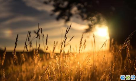 三觀很正的短句一句話一張圖 過日子是過以后不是過從前5