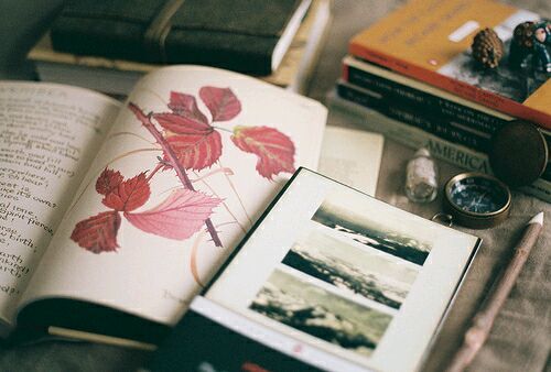 簡(jiǎn)單美好生活的小清新詩(shī)意句子帶圖片2