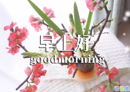 2018早上好正能量的句子和圖片 早上好勵(lì)志的句子配圖激勵(lì)人心的9