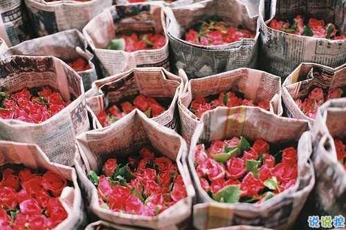 抖音最火經(jīng)典說說致自己 最新個人說說經(jīng)典勵志帶圖片6