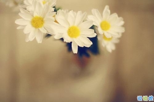 一顆心已經(jīng)傷痕累累的愛情說說 不敢再相信愛情的悲傷說說20199