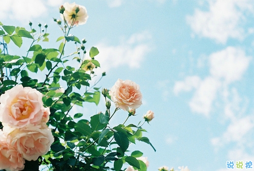 迎接2019的說說滿滿正能量帶圖片 與2018說再見用雙手去擁抱20198