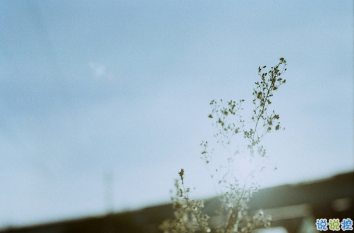 qq空間勵(lì)志說說帶圖片2019 00后都愛的勵(lì)志句子年輕人必備5