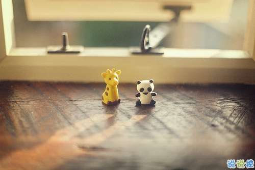 關(guān)于愛情中甜蜜和欣喜的說說帶圖片 承蒙你出現(xiàn)夠我喜歡好多年8