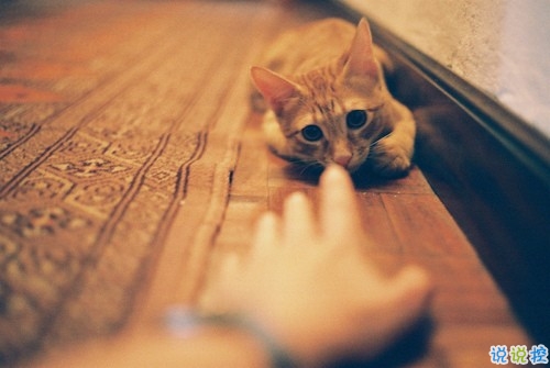 讓人不得不服的經(jīng)典說說帶圖片 2019朋友圈很流行的經(jīng)典說說7