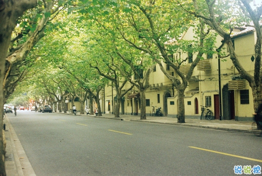 心好累的傷感說說非主流帶圖片 喜歡一個(gè)人卻得不到的悲傷說說10