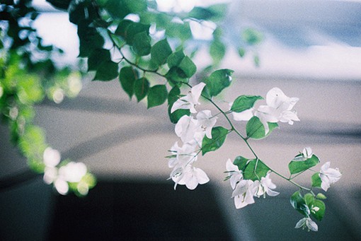 有詩意的簡單但很有內(nèi)涵的說說帶圖片 躲過了爭吵決絕熬不過歲月漫長12