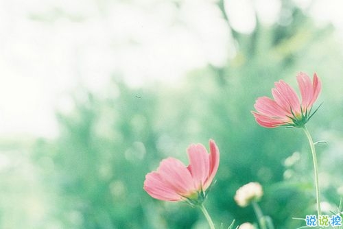 看透愛情的悲傷說說心痛分手帶圖片 開始很感動過程很精彩結(jié)局不想說6