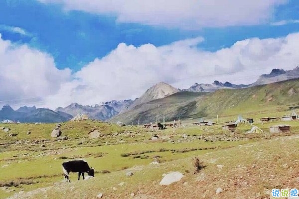 陽光燦爛心情好的唯美說說句子 好天氣好心情發(fā)朋友圈的說說2