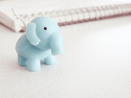 有哪些詩歌讀到后心里像開出了一朵花？5