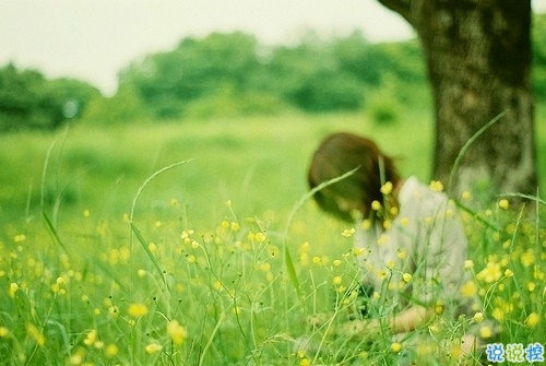 不敢再愛(ài)了的傷感說(shuō)說(shuō)帶圖片 愛(ài)情吃了虧的經(jīng)典傷感說(shuō)說(shuō)配圖2