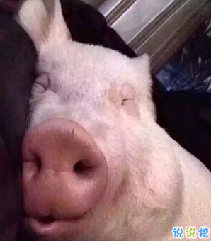 笑死人的搞笑說說超好玩：你以為有錢真的會(huì)快樂嗎13