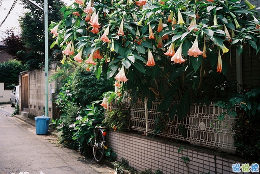 心情郁悶的傷感說說帶圖片 夜里睡不著覺的傷感心情說說配圖9