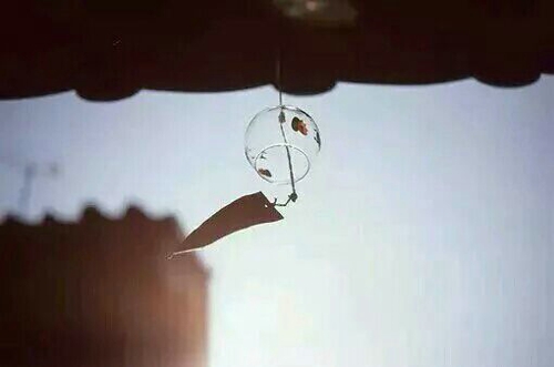 關于人生和愛情的唯美小清新句子帶圖片 我路過萬家燈火而你才是我的歸途13