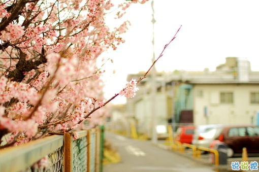 很深情很撩人的情話帶圖片 融化人心的小可愛(ài)女生說(shuō)說(shuō)12