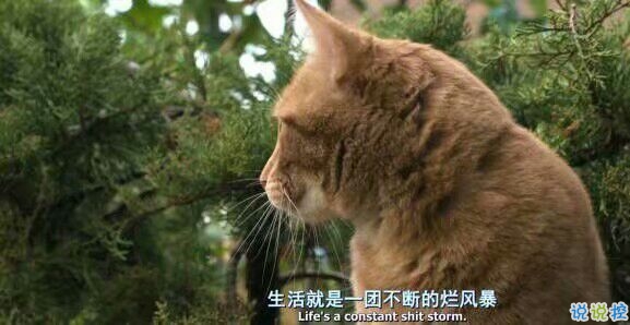 微信勵志說說圖片帶字：有時間絕望，還不如去吃美食然后睡個覺1