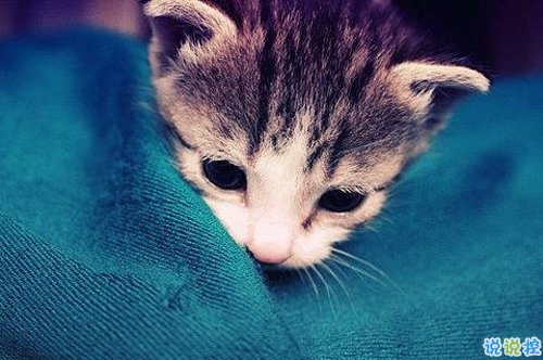 看透愛情的悲傷說說心痛分手帶圖片 開始很感動過程很精彩結(jié)局不想說14