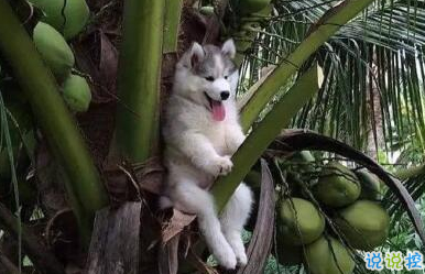 笑死人的搞笑說說超好玩：你以為有錢真的會(huì)快樂嗎9