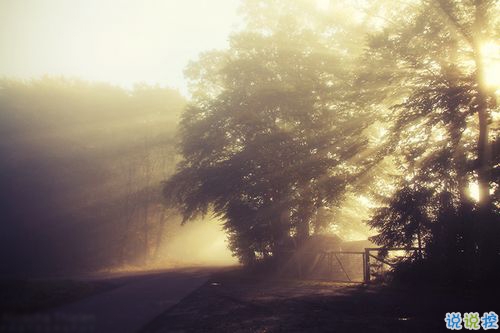 女生跟男朋友撒嬌的說說帶圖片 女生寫給男生的可愛情話6