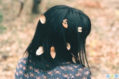 彌漫著文藝氣息的小清新英文句子 文字控大愛的經(jīng)典英文句子1