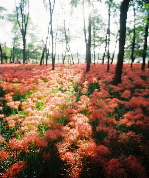 人在途中慢慢成長學會長大的經典哲理句子2