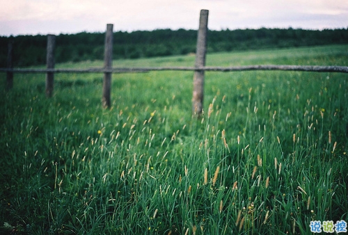 抖音說說短語霸氣高冷男生 比較火的霸氣超拽說說15