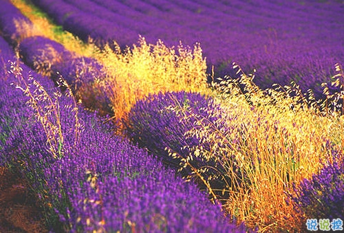 真實(shí)收獲的人生感悟說說帶圖片 都是人生路上換來的經(jīng)驗(yàn)教訓(xùn)12