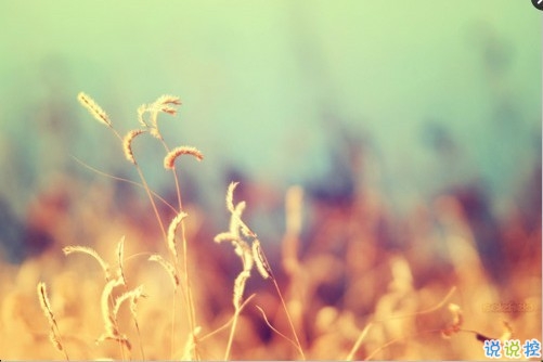 關(guān)于敏感人的說(shuō)說(shuō)帶圖片 敏感的人會(huì)怎么自我折磨13