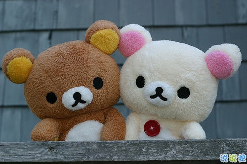 為明天而努力的勵(lì)志說說致自己 有關(guān)于積極奮斗的勵(lì)志說說共勉14