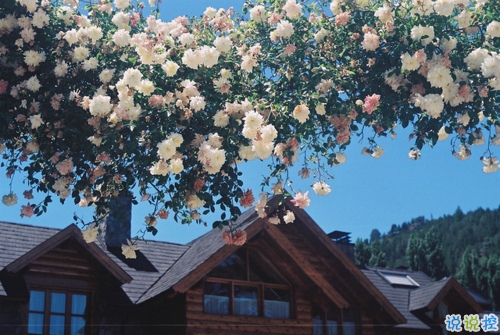 有點小傷感的說說唯美文藝帶圖片 今天心情不美好的說說很簡單12