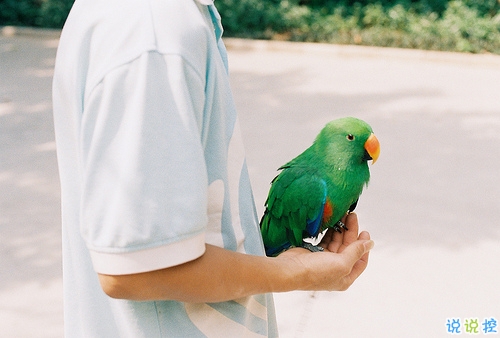 獨(dú)具一格的微信個(gè)性說說帶圖片 每一條都值得收藏2